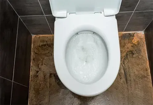 Desentupidora de Vaso Sanitário Urgente na Vila Maria Baixa